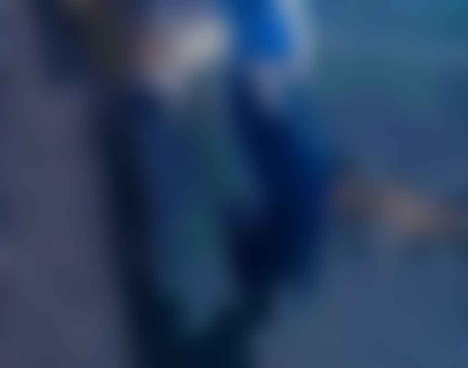 Dolphin Sigma Waterline Cleaning Robot