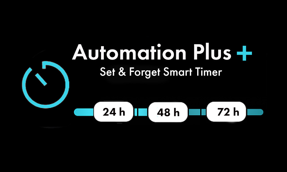 Dolphin Weekly Timer Automation