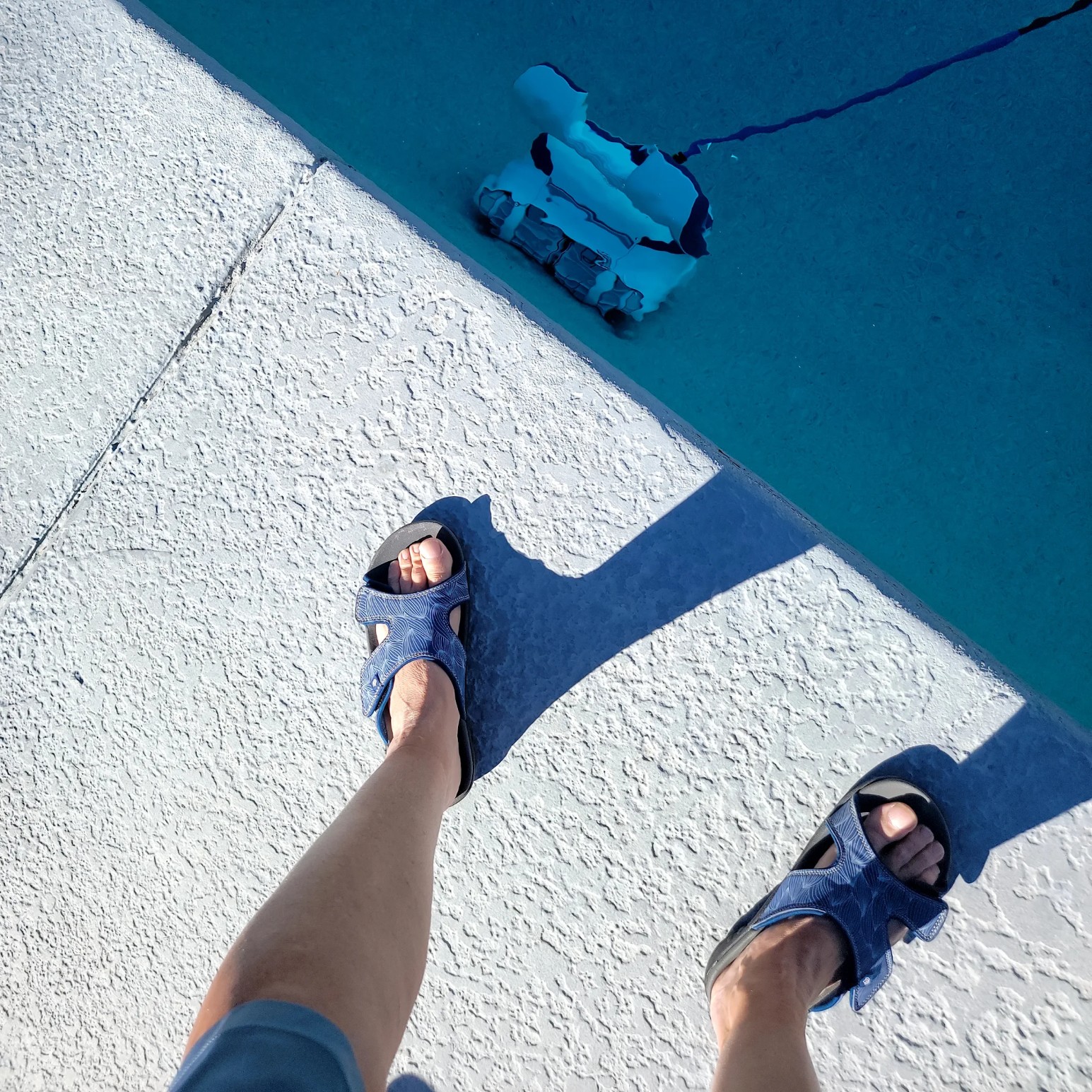 Dolphin Sigma robot sitting by the pool edge