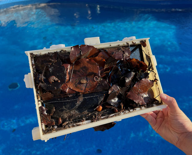 Dolphin Sigma Standard Filter