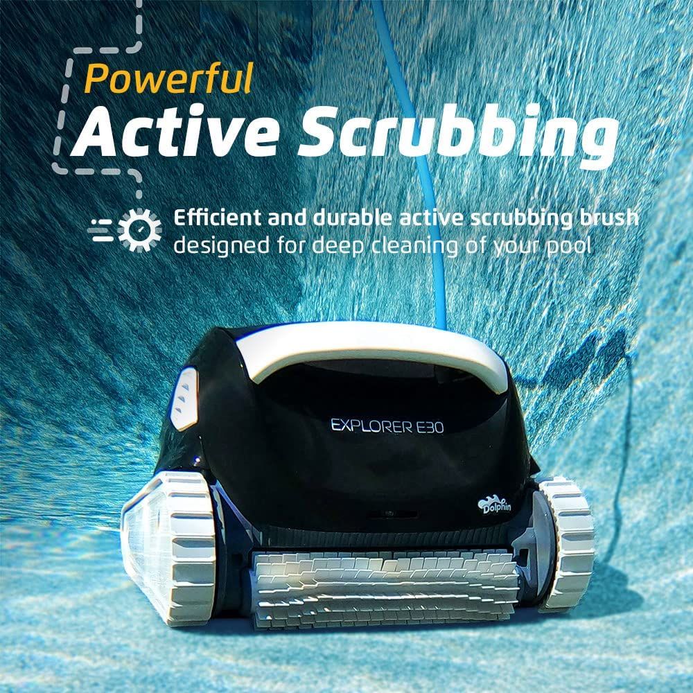 Dolphin Explorer E30 Scrubbing