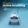 Dolphin Active Scrubbing
