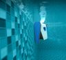 Dolphin Premium Underwater Wall Cleaning 4