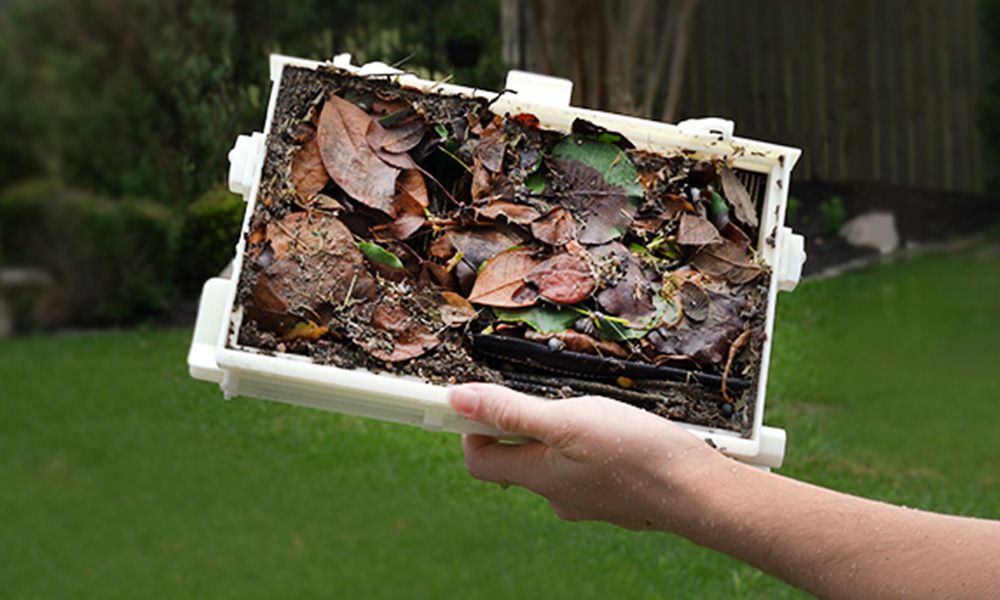 Look at how many leaves the Sigma picked up